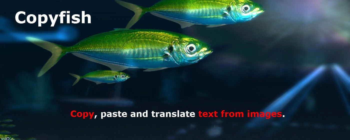 Copyfish — Free OCR to Copy Text From Any Image, Video or PDF